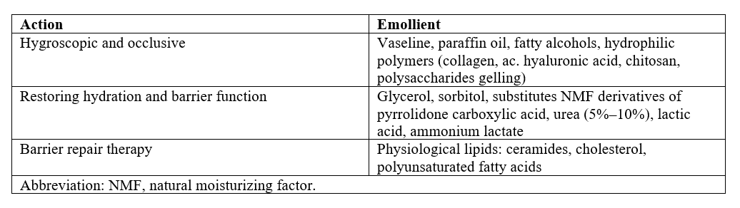 skin-barrier-atopic-dermatitis.png