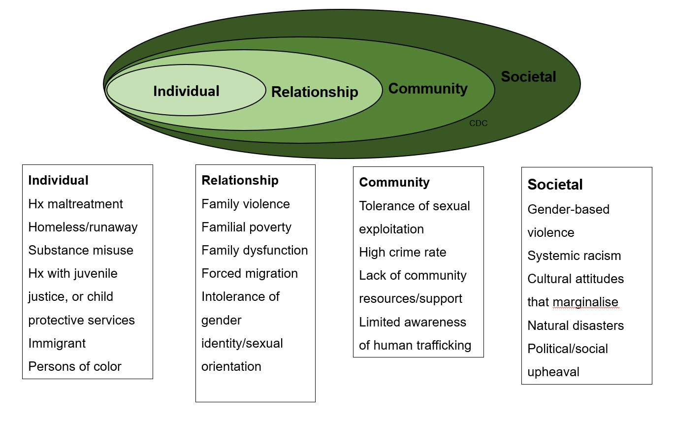 risk factors diagram.jpg